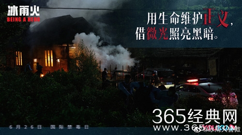 《冰雨火》原著小说介绍