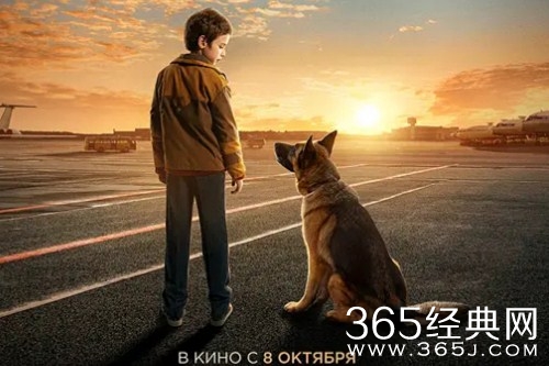 《忠犬帕尔马》故事原型