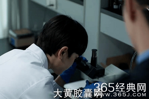 《冰雨火》中的大黄胶囊介绍