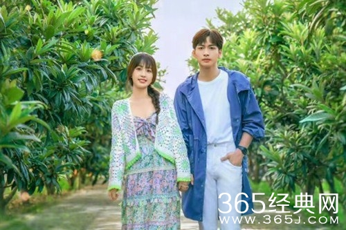 《两个人的小森林》播出平台