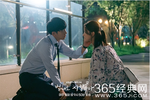 韩剧《依法相爱》剧情介绍