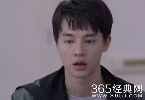 《亲爱的生命》杜帝官配