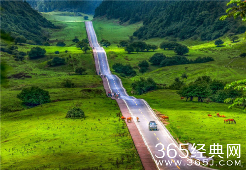 《勇者无惧》热播，张丹峰在仙女山上演飙车大戏