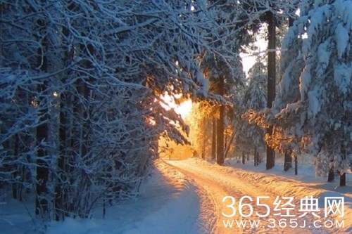 《归路》原著小说