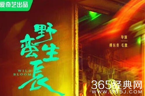 《野蛮生长》原著小说