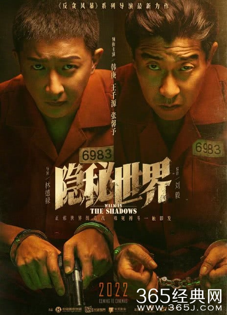 电影《隐秘世界》剧情介绍