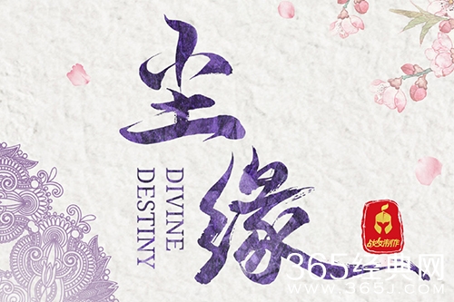 《尘缘》小说原著阅读网站