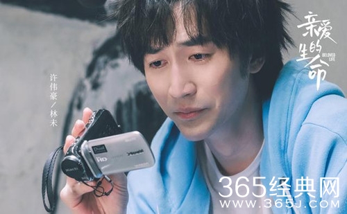 《亲爱的生命》林未人物分析