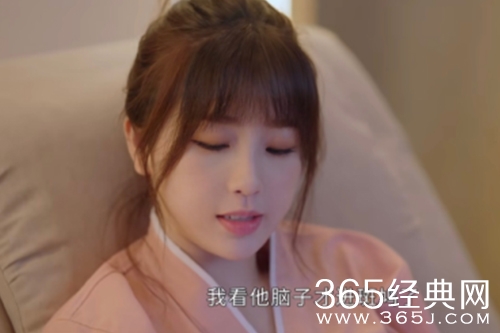 《两个人的小森林》中的圆柏斑鸠