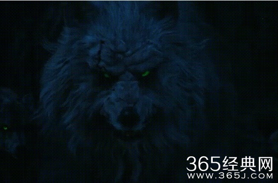 《昆仑神宫》白狼王