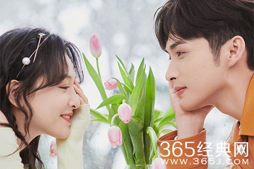 《三分野》电视剧情节介绍