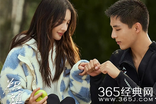 《炽道》电视剧观看网站