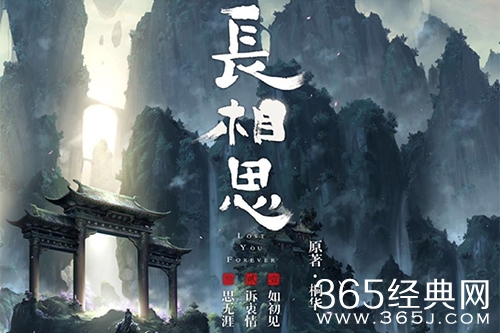 《长相思》电视剧原著小说介绍