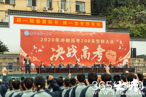 《大考》金和县位置