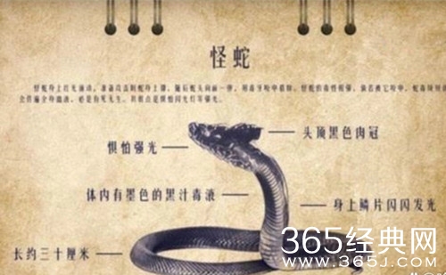 《昆仑神宫》净见阿含