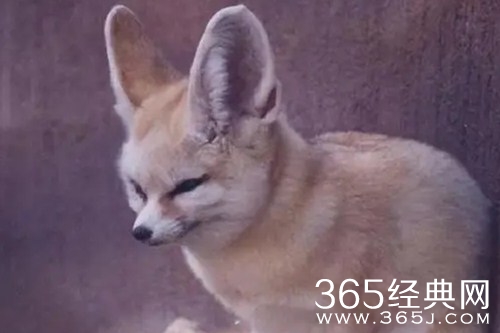 《昆仑神宫》地观音