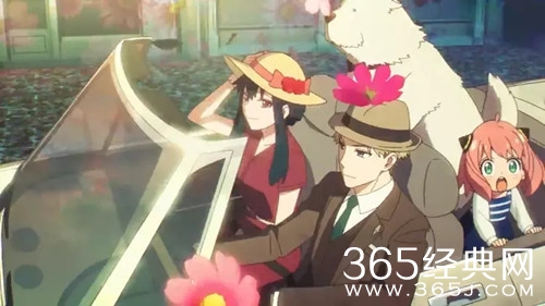 《间谍过家家第二季》观看网站