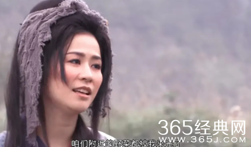 王宝钏挖野菜梗介绍