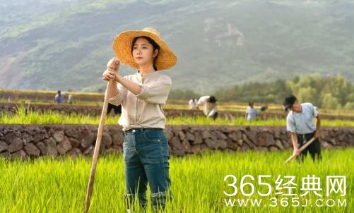 《我们这十年·心之所向》剧情介绍