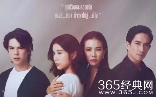 泰剧《情根固爱》观看网站