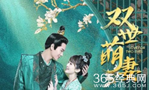 《双世萌妻》剧情介绍