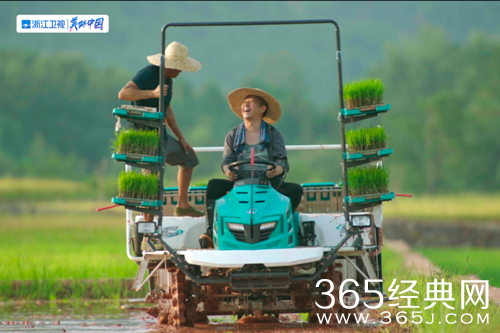 《我们这十年心之所向》故事原型