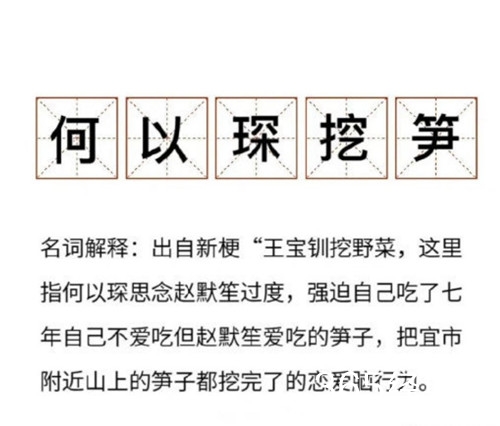 何以琛挖笋梗介绍