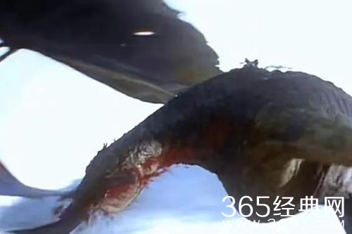 《龙之家族》小路结局