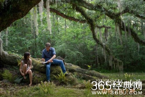 《沼泽深处的女孩》女性力量获赞 全球口碑表现强劲票房成绩亮眼