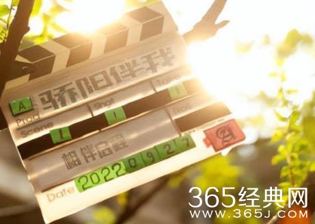 《骄阳伴我》定档