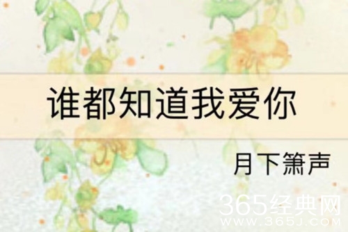 《谁都知道我爱你》小说阅读网站