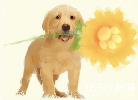 电影《再见，李可乐》剧情介绍