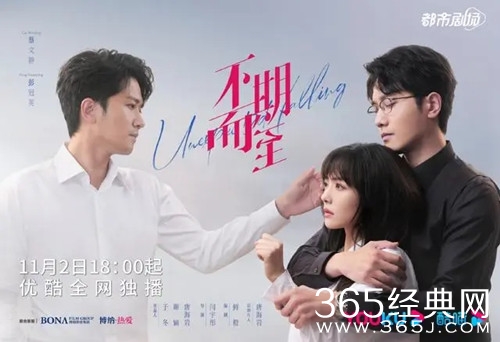 《不期而至》观看网站