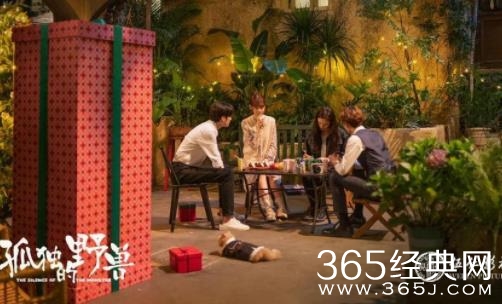 伍仁影视《孤独的野兽》颜值质感双在线，合租男女暖心日常来了！