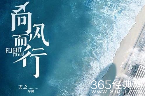 《向风而行》剧情介绍