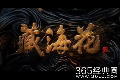 《藏海花》剧情介绍