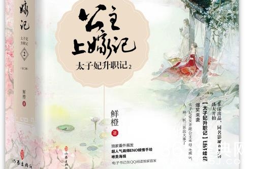 《郎君不如意》原著小说