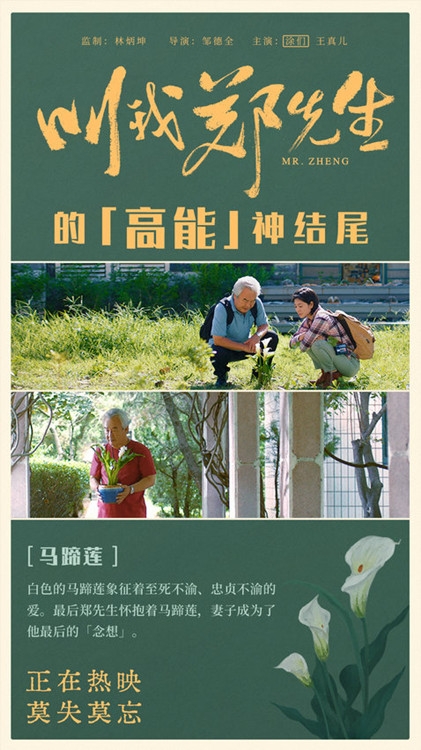 电影《叫我郑先生》结尾五分钟神反转获赞，细节满满饱含深情