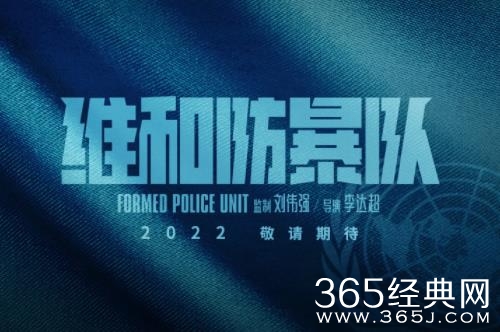 电影《维和防暴队》剧情介绍