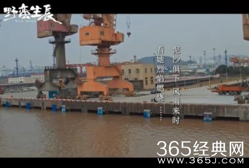 国产剧推荐：11月份追剧指南，超越《人世间》的王炸剧开播