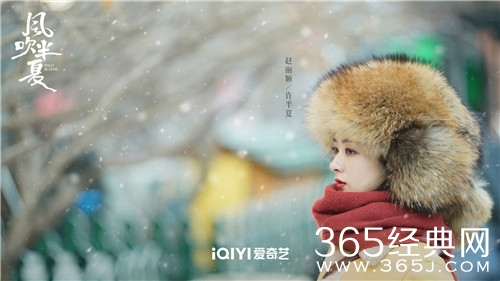 《风吹半夏》播出平台