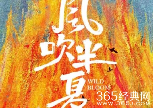 《风吹半夏》定档11月27日，展现大时代下鲜活的奋斗者群像