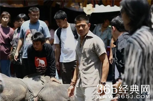 《C+侦探》电影解说文案