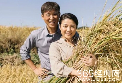 《山河锦绣》赵书和感情线