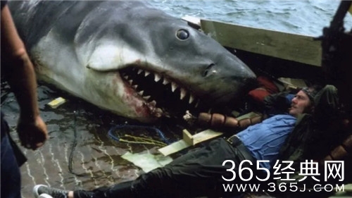 《大白鲨》电影解说文案