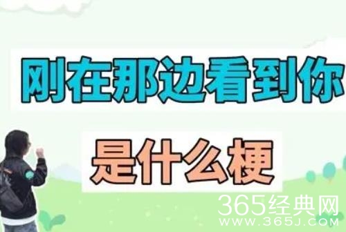 刚刚在那边看到你梗介绍