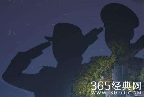 《一枝一叶总关情》剧情介绍