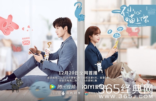 2022年12月待播电视剧大全