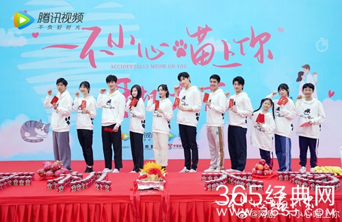 《一不小心喵上你》人物关系