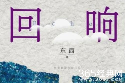 《回响》原著小说